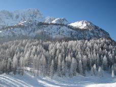 Klik za večjo sliko